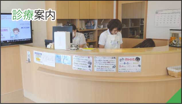 診療案内