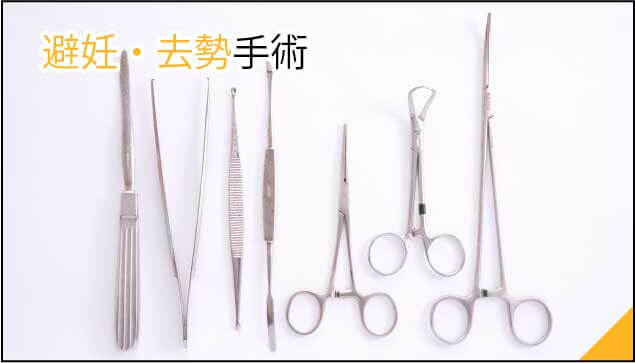 避妊・去勢手術